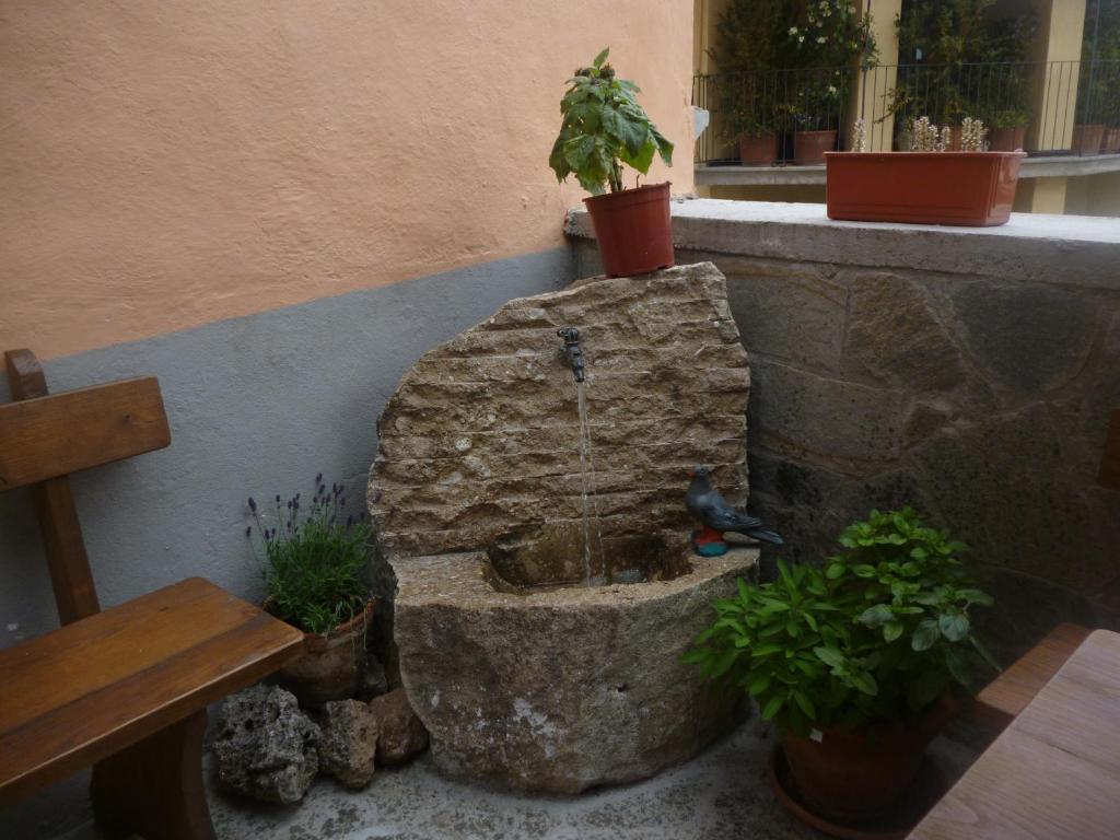 B&B Pisolo E I Persi Pien Roccasparvera Exterior photo